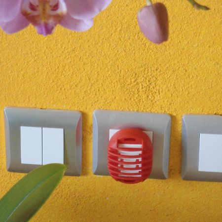 Lilalo Ηotel Paralía エクステリア 写真