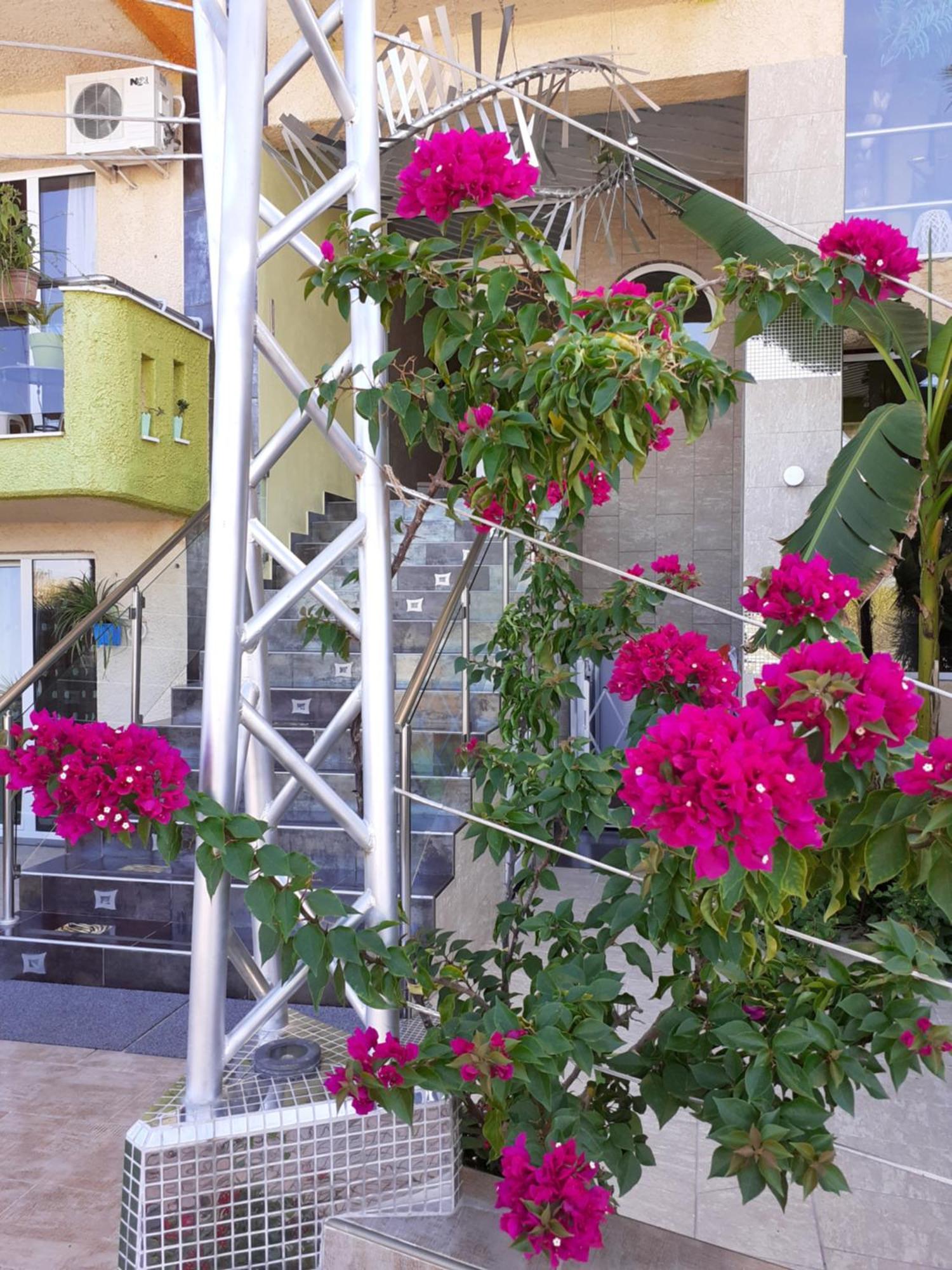 Lilalo Ηotel Paralía エクステリア 写真